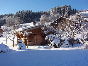 exterieur jardin hiver à Combloux